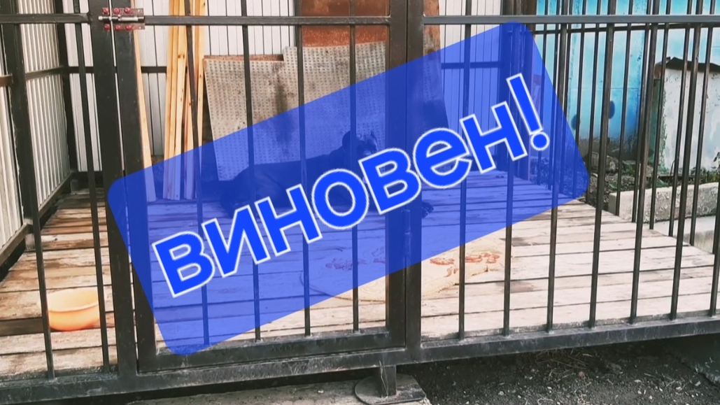 ЭТОТ УЖАСНЫЙ КАНЕ КОРСО,опять начудил 😅🤏🤷 смотреть онлайн