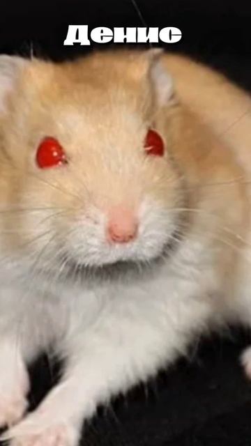 кто ты по имени 2 часть смотреть онлайн