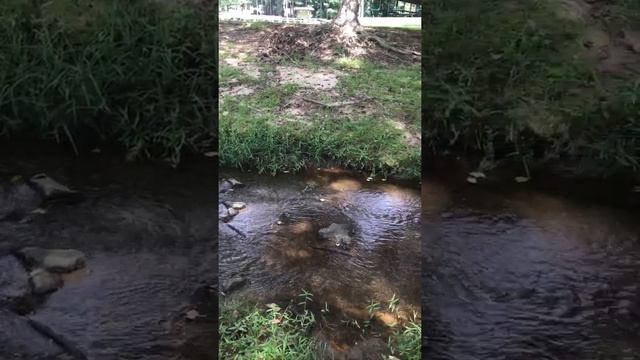 Park Breath Break I Breathe with Barbara Iwww.barbarafaison.com #meditatewithme #breathewithbarbara смотреть онлайн