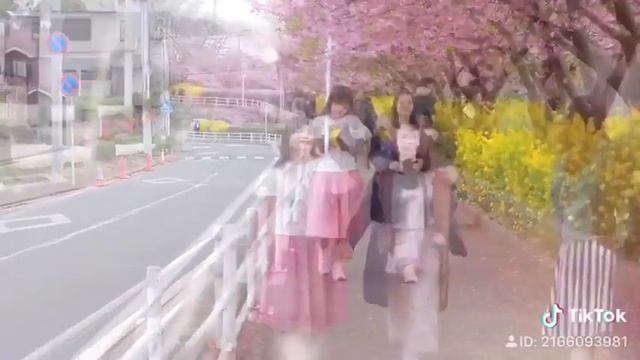 SakurA 2019 смотреть онлайн