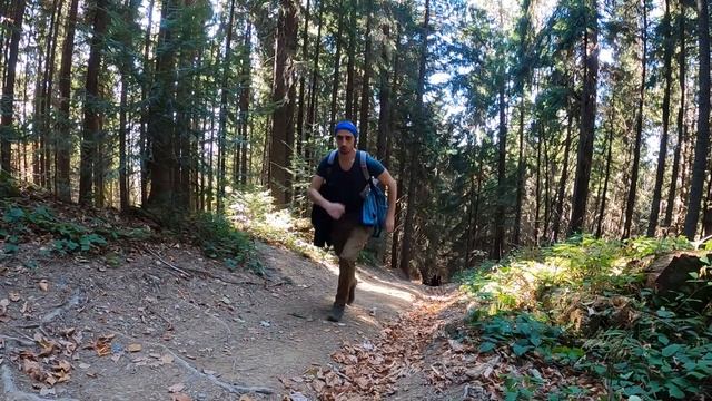 Meditative Slow Motion Video | Carpathian Mountains | ASMR In Headphones