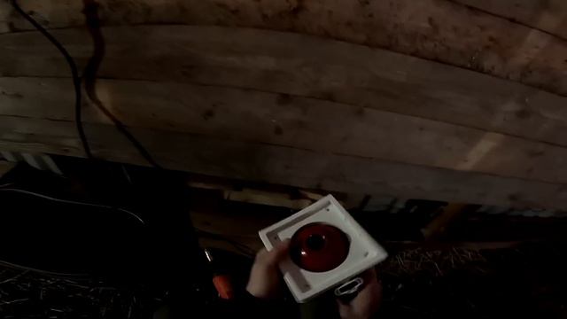 Выбежали ! Теперь я буду знать кто несёт яйца ! ХУТОР В ЛЕСУ №610