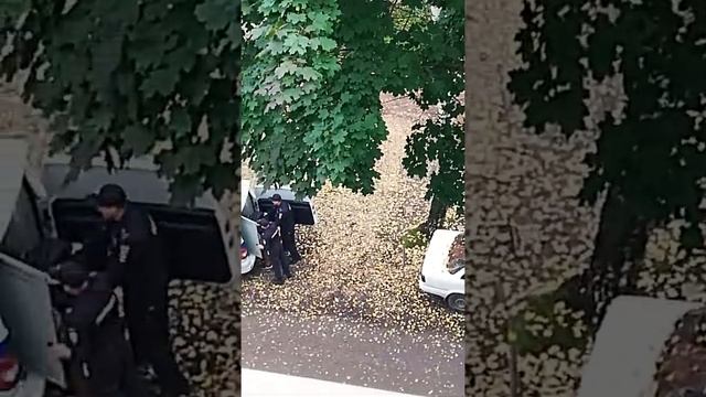 Проснулся от криков,Менты ломают мужика. Жесть. смотреть онлайн