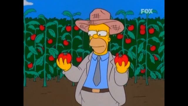 The Simpson. Homer: Heinz Ketchup-Ketchup Heinz. смотреть онлайн