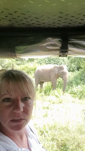 Шри-Ланка,национальный парк смотреть онлайн