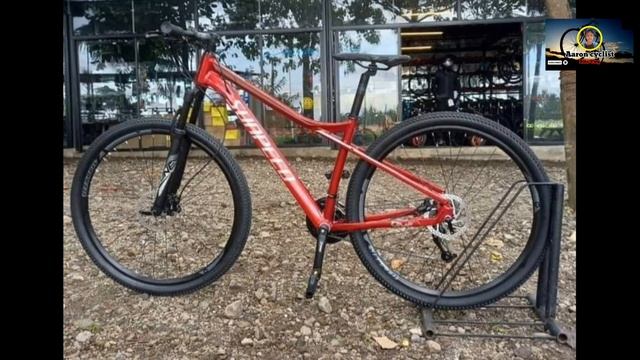 SUNPEED ONE | 16K MTB | 3×9 SPEED | AARON CYCLIST смотреть онлайн