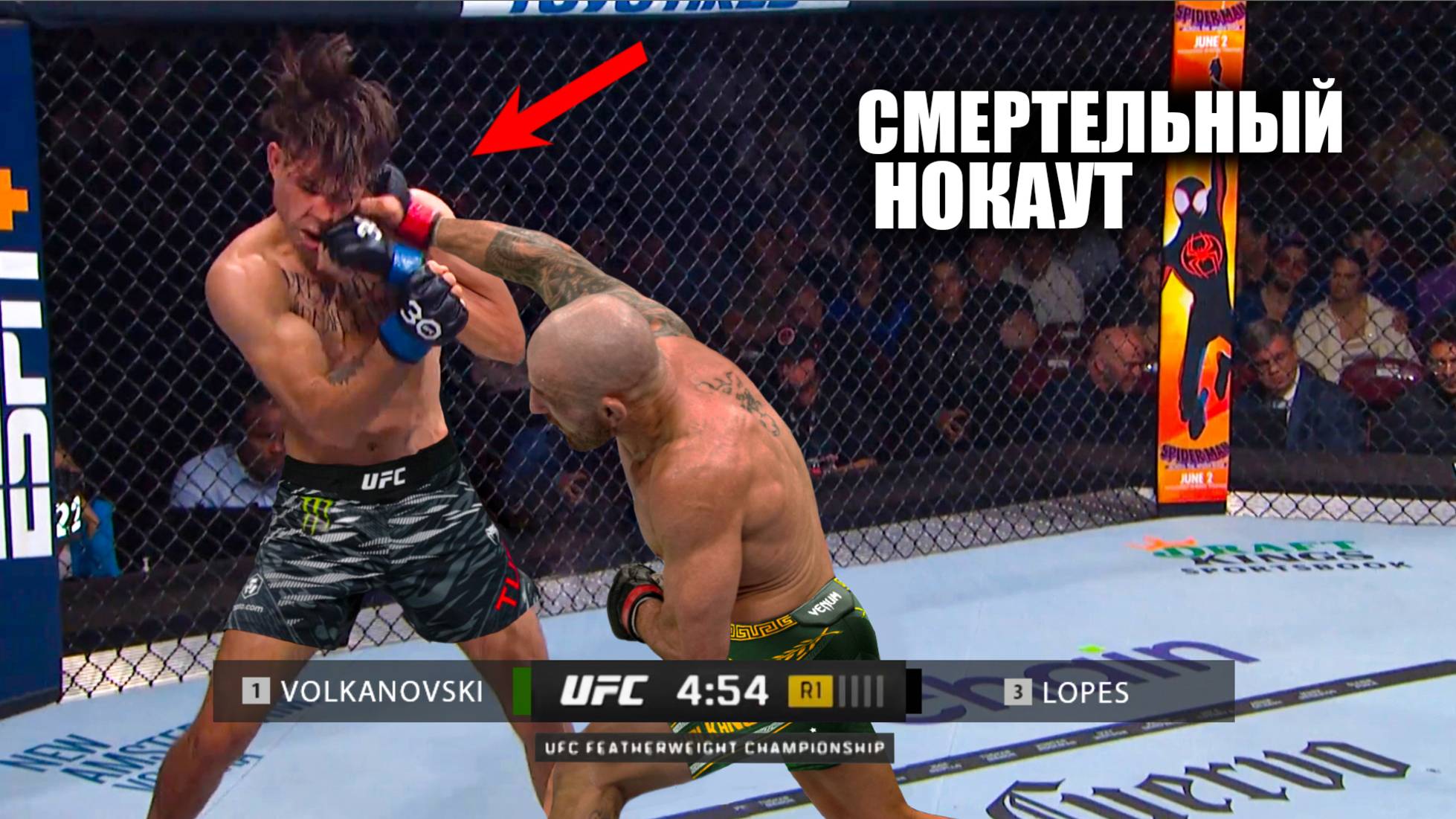 НОКАУТ ГОДА С УДАРА! Бой Алекс Волкановски VS Диего Лопес UFC 314 / Смотреть Прямой Эфир ЮФС 314 смотреть онлайн