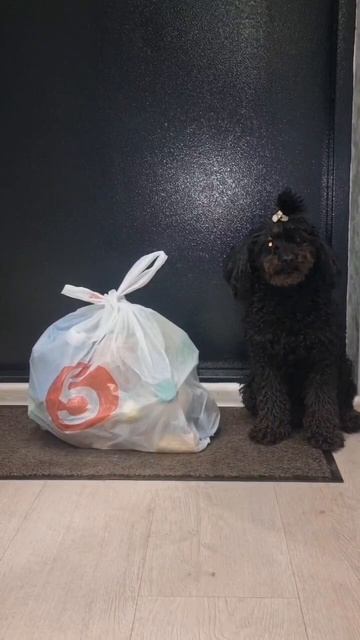 распаковка🤣🤣🤣