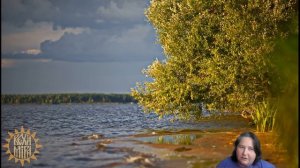 Проверка истинности высказывания