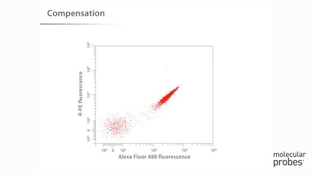 Molecular Probes Tutorial Series—Analyzing Flow Cytometry Data смотреть онлайн