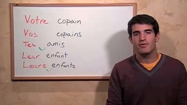Examples: Plural Possessive Pronoun Usage смотреть онлайн