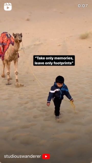 Memories 😍🤩 | Studious Wanderer смотреть онлайн