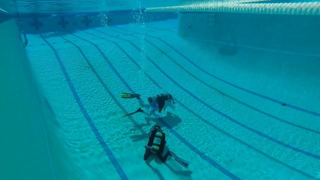 Lilian Pool Diving смотреть онлайн