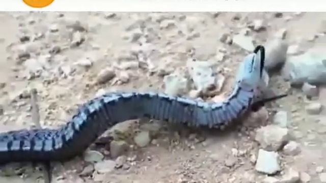 17 июля 2020 г. смотреть онлайн