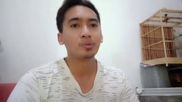 Pendapatan Sampingan dari Penjualan Burung || Tips Penjualan Burung agar Cepat Laku смотреть онлайн