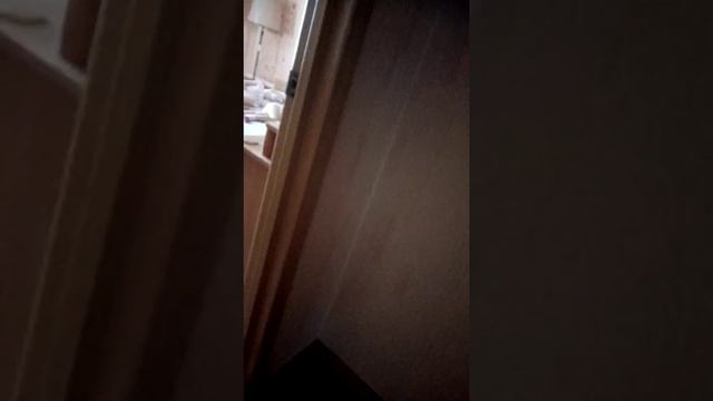 18 августа 2020 г.