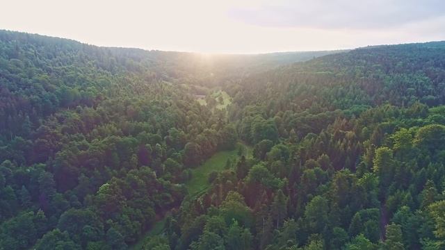 Nature Video With Relaxing Music | Sleep, Relaxation, Focus, Study | 2hrs смотреть онлайн