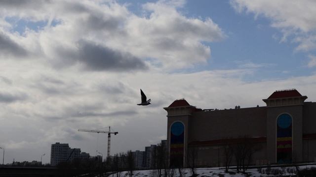 тест4
Canon R50 18-45mm смотреть онлайн