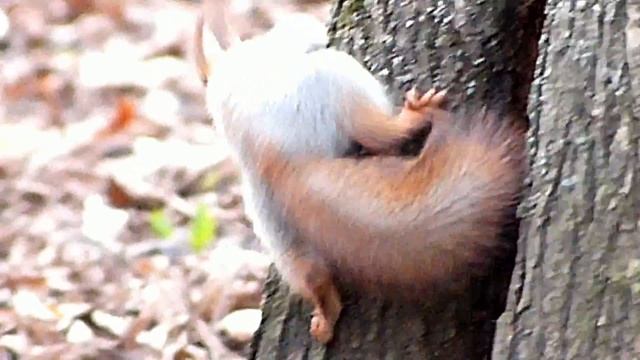 Мой фильм 10 смотреть онлайн