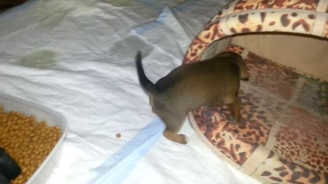 Где мое молоко? смотреть онлайн