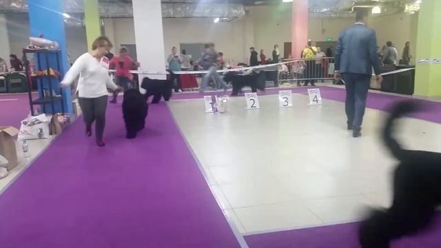 20 октября 2019 г. МОНО Атлантида сравнение на ЛПП смотреть онлайн