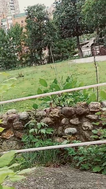 18 июля 2024 г. смотреть онлайн