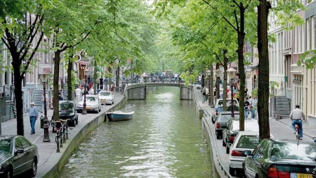 Tulpen aus Amsterdam смотреть онлайн