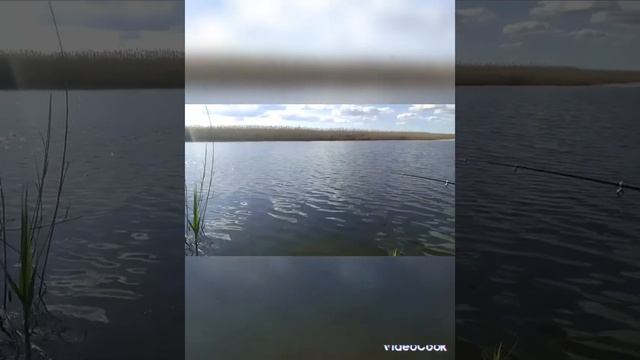 САЗАН НА 1200 КГ. !!!!! ОТКРЫТИЕ СЕЗОНА ПРОСТО НА УРА 😃👍 смотреть онлайн