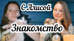 Знакомство с Алисой 🦊 Домик в деревне -не только моя мечта 😊🏠
