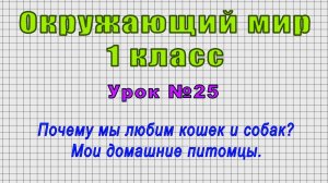 Окружающий мир 1 класс (Урок№25 - Почему мы любим кошек и собак? Мои домашние питомцы.)