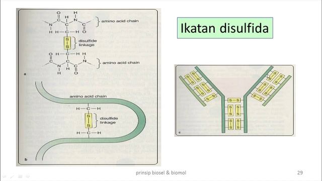 Pendahuluan dan Prinsip Ilmu Biosel dan Biomolekuler (EP) смотреть онлайн
