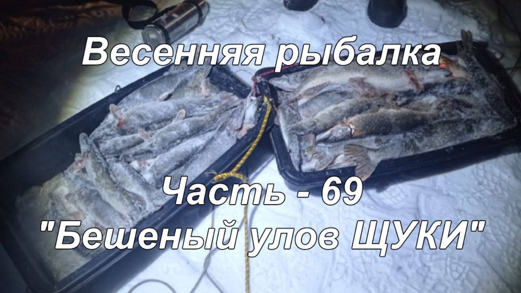 Весенняя рыбалка. Часть - 69. "Бешеный улов ЩУКИ". смотреть онлайн