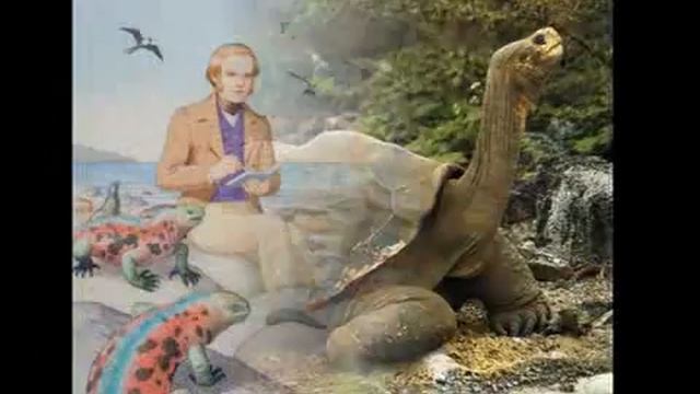 Galápagos: si la creación existió, así fue el primer día смотреть онлайн