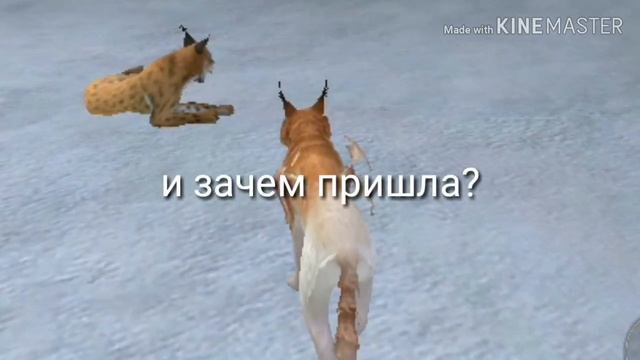 БЕЩЯЧИЕ ТИПЫ ИГРОКОВ😬😈😤|| Вайлд крафт|| смотреть онлайн