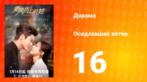 Оседлавшая ветер 1 сезон 16 серия