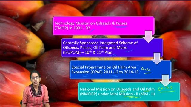 Oil Palm: Crude & Kernel, Mini Mission, Oilseeds - National Mission on Oilseeds and Oil Palm (NMOOP смотреть онлайн