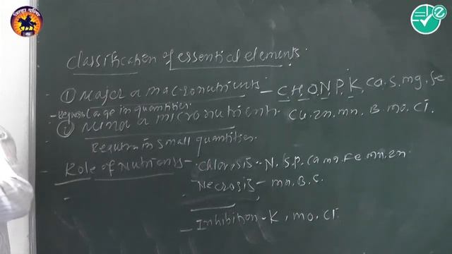 Biology|Ch-6-PLANT WATER RELATIONS & MINERAL NUTRITION|10 Mineral Nutrition | 11th|TAUR VP смотреть онлайн