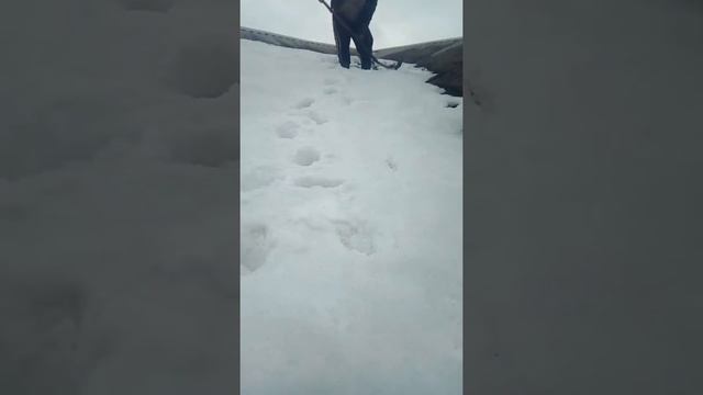 Кровля крыш Макеевка Донецк Харцызск смотреть онлайн