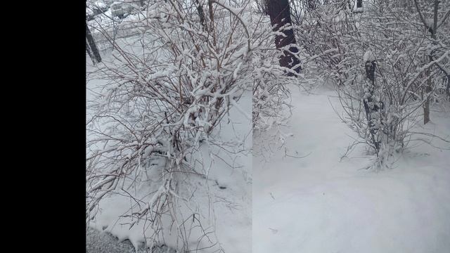 Зима весной смотреть онлайн