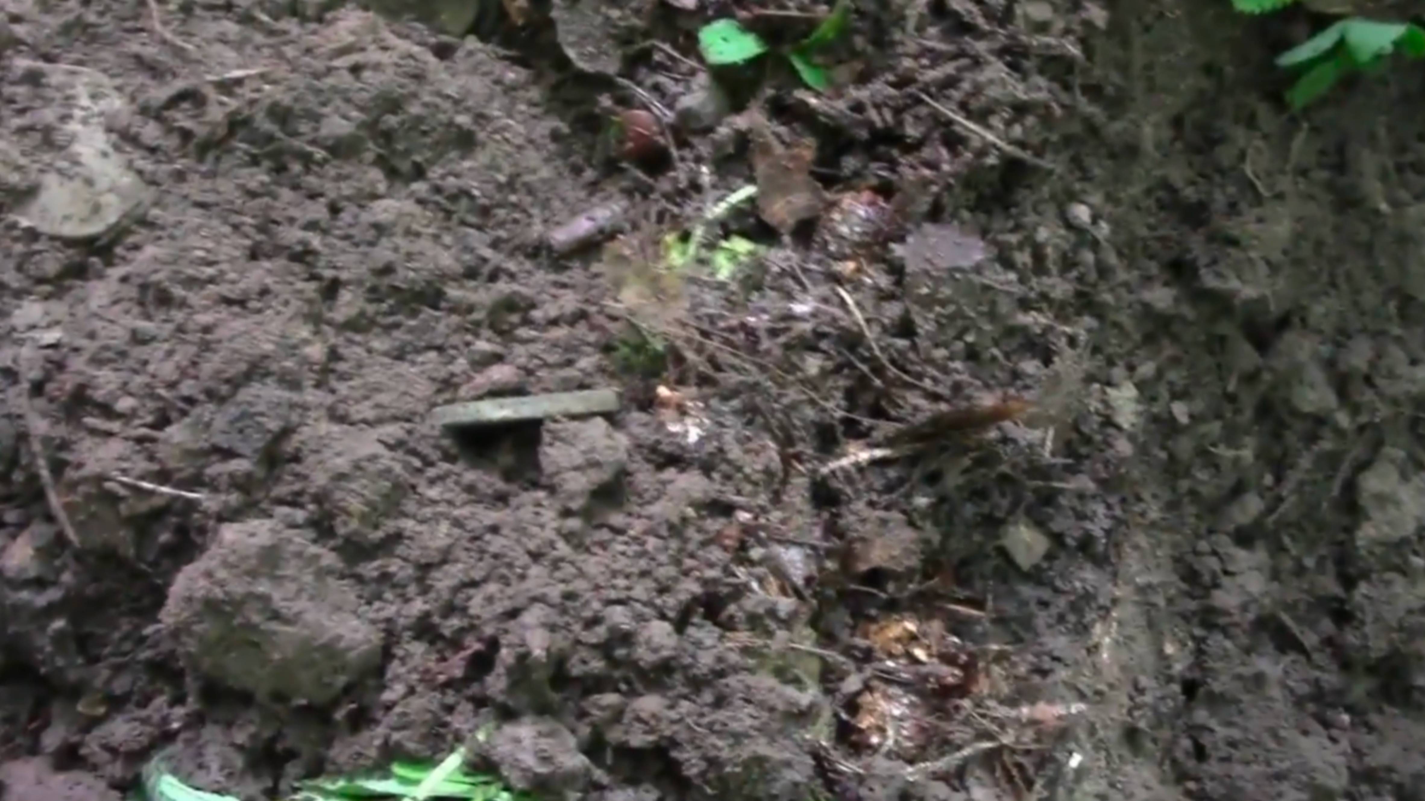 Не ожидал такого от этого места. смотреть онлайн