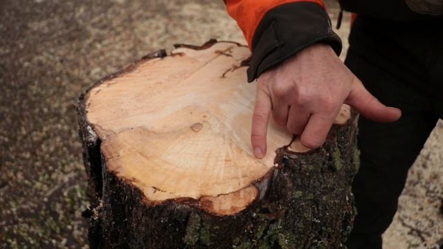 Vlog#58 Meewerken met de groenploeg - kastanje bloedingsziekte смотреть онлайн
