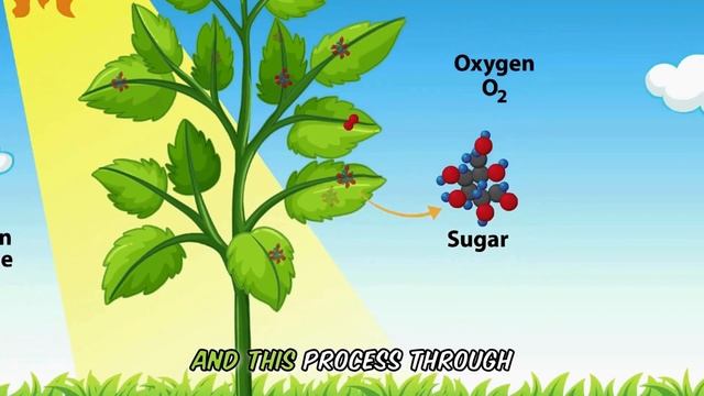 Let's dive into how plants make their food. Photosynthesis смотреть онлайн