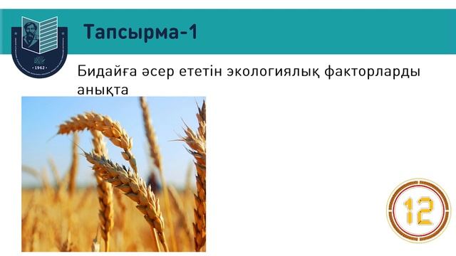 Экологиялық факторлар 7 сынып // Шнар Асанова смотреть онлайн