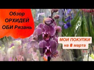 МОИ ПОКУПКИ. Обзор орхидей ОБИ 8 марта #8марта #женскийдень #новыеорхидеи #обзорорхидей #цветы