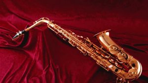 Silicon Dream, Corleone speaking