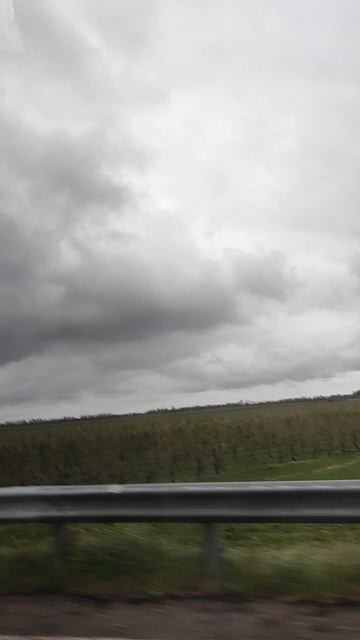 дорога домой ) смотреть онлайн