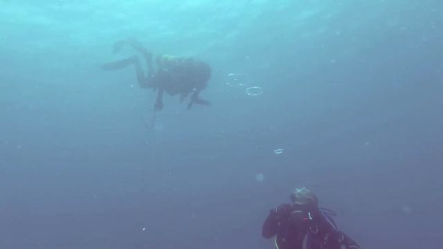 Mejores Momentos ScubaDiving Manta - Ecuador смотреть онлайн