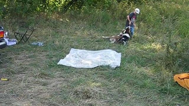 MVI_2956.AVI смотреть онлайн