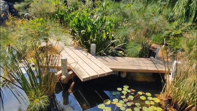 Моя утренняя прогулка в парк Галицкого. Летом все по другому. смотреть онлайн