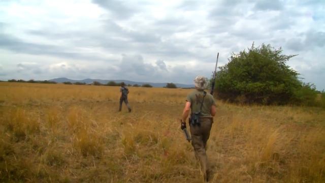 Rare Antelope & Bushbuck of the Nile River смотреть онлайн